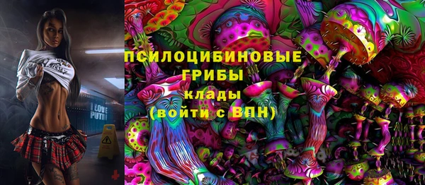 мет Медвежьегорск