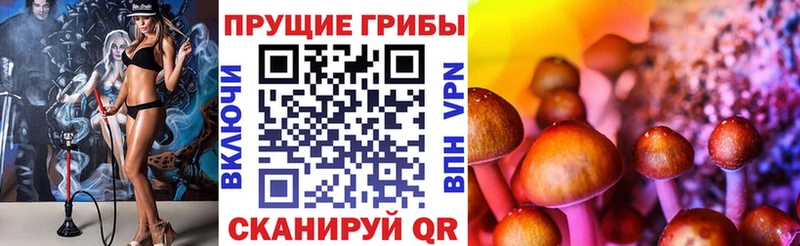 Галлюциногенные грибы MAGIC MUSHROOMS  Пролетарск 